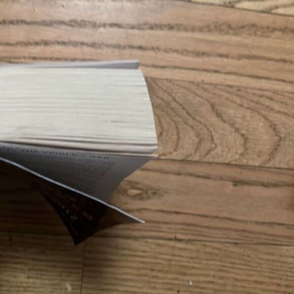 THE GIRL IN THE SPIDER’S WEB BY DAVID LAGERCRANTZ‎ - Picture 5 of 6